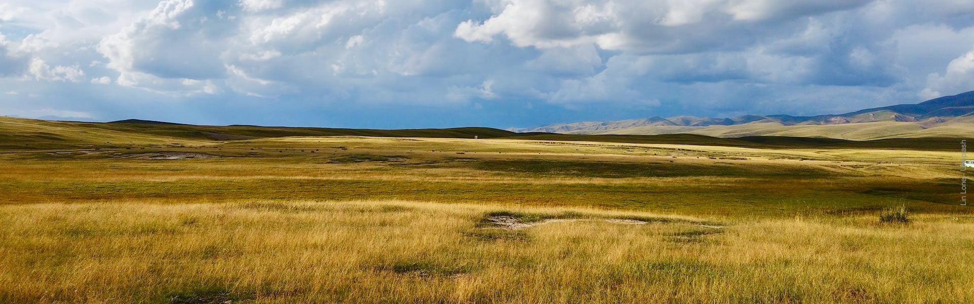 Protected Area Beyond Border Network